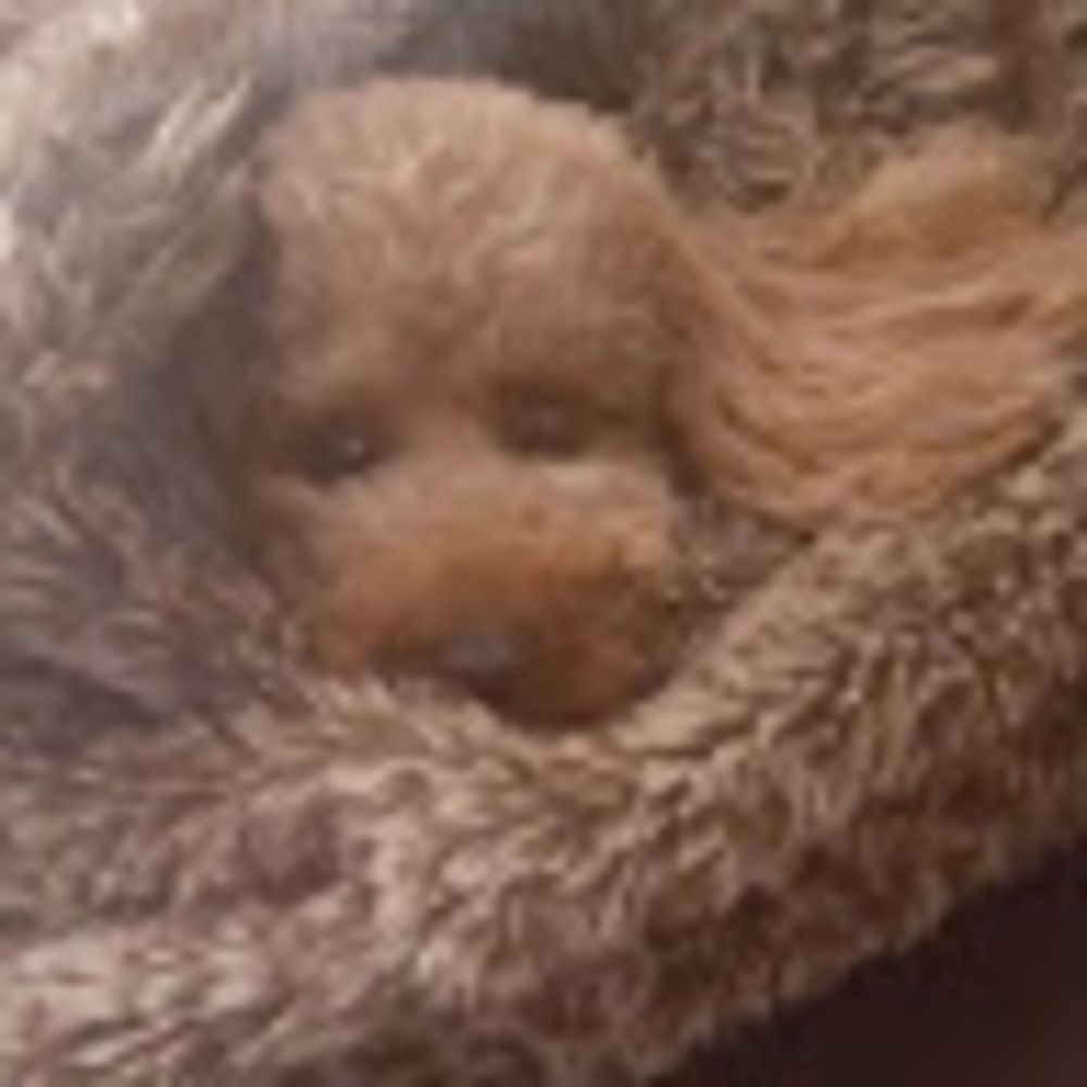 Meet your Posher, Deborah